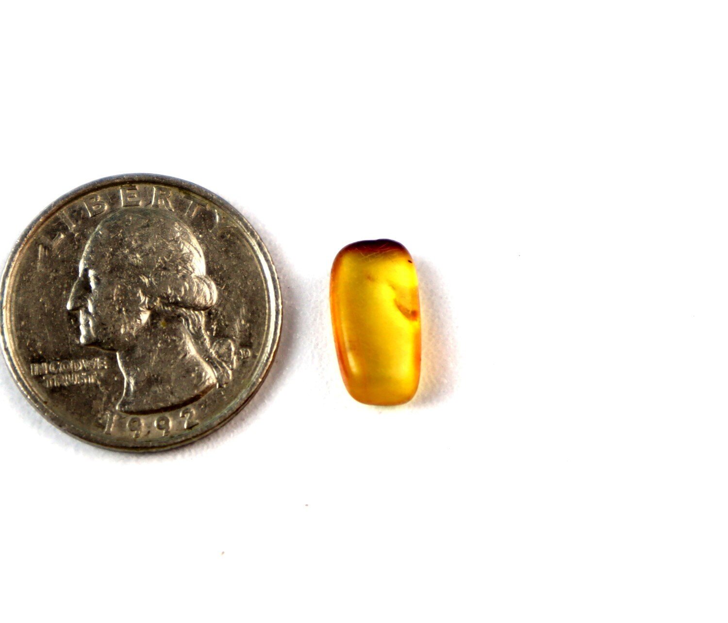 Unique Premium Mosquito Inclusion In Amber Fossils/Insects 14mm – photo 4