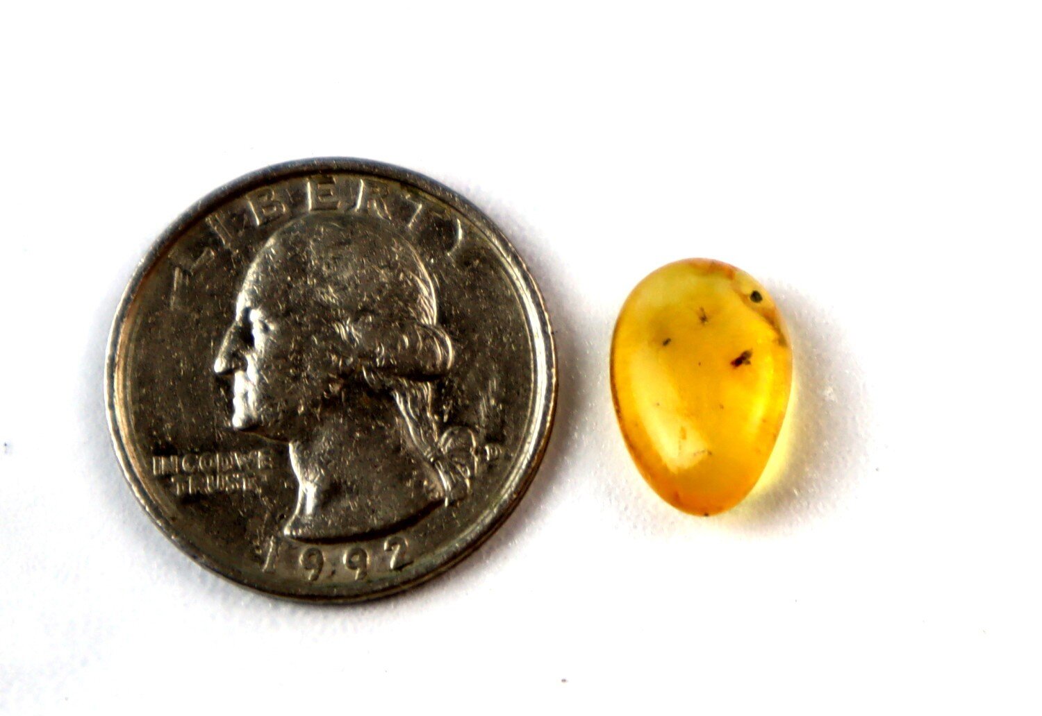 Authentic Beautiful Gnat Inclusion Amber Fossils/Insects 14mm – photo 3