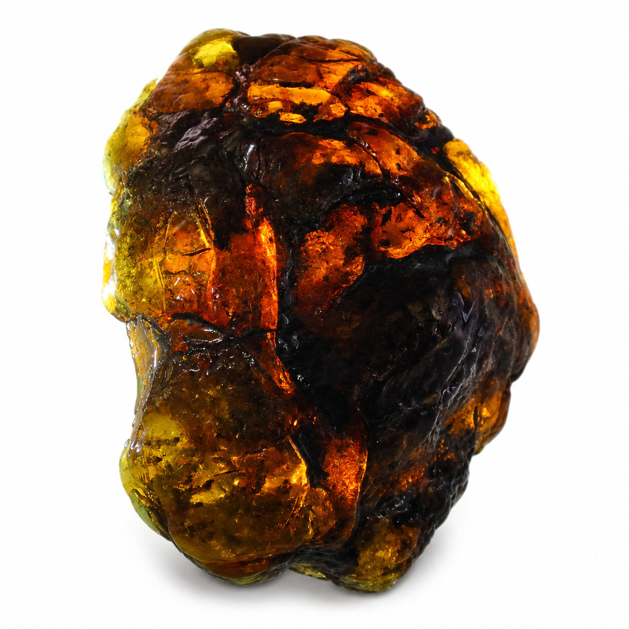 Natural Unique Dominican Green Cognac Blue Amber Rough Specimen Chunk 88mm 124gr – photo 10