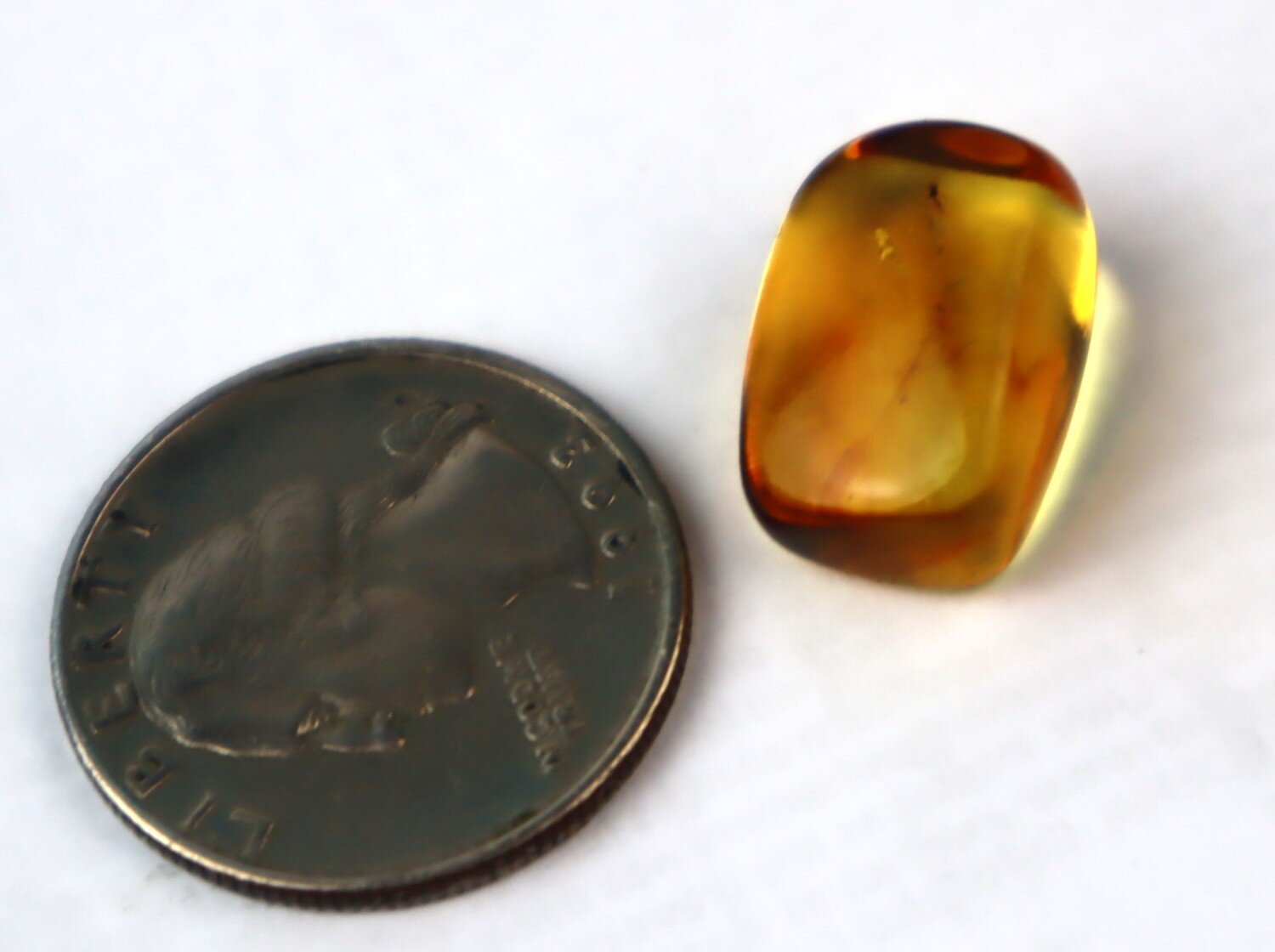 Natural Dominican Amber Insect Fossil – Polished Stone – photo 5