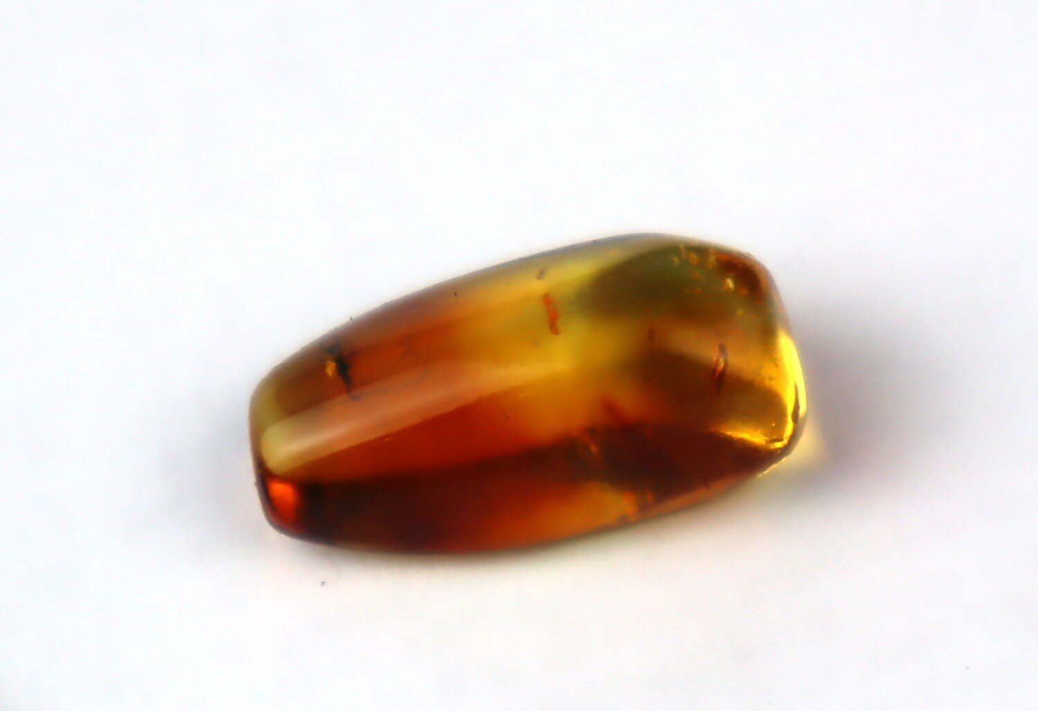 Natural Dominican Amber Insect Fossil – Polished Stone – photo 4