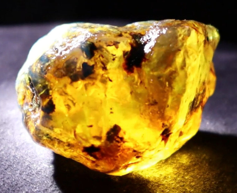 Impressive Natural Dominican Clear Green Blue Amber Rough Specimen 48mm 31g – photo 12