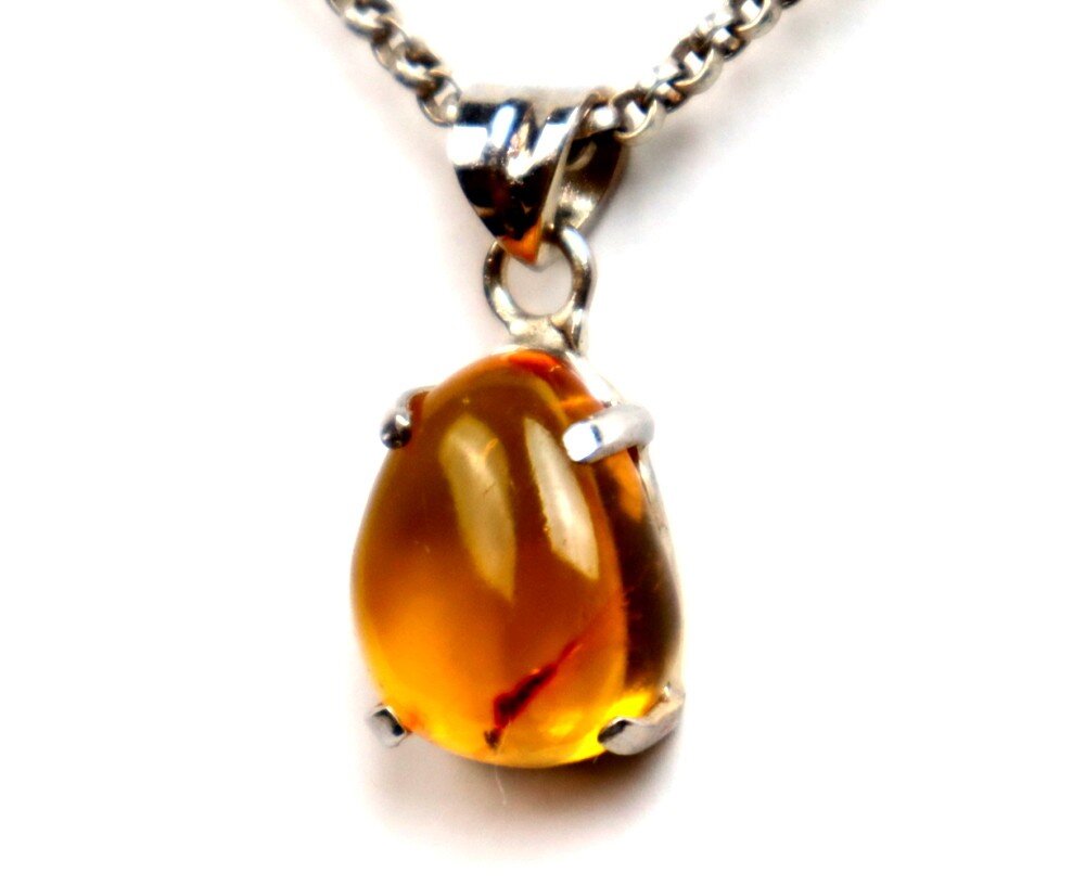 Finest Amber Insect parasitic wasp Fossil .925 Sterling Silver Pendant 28mm – photo 5