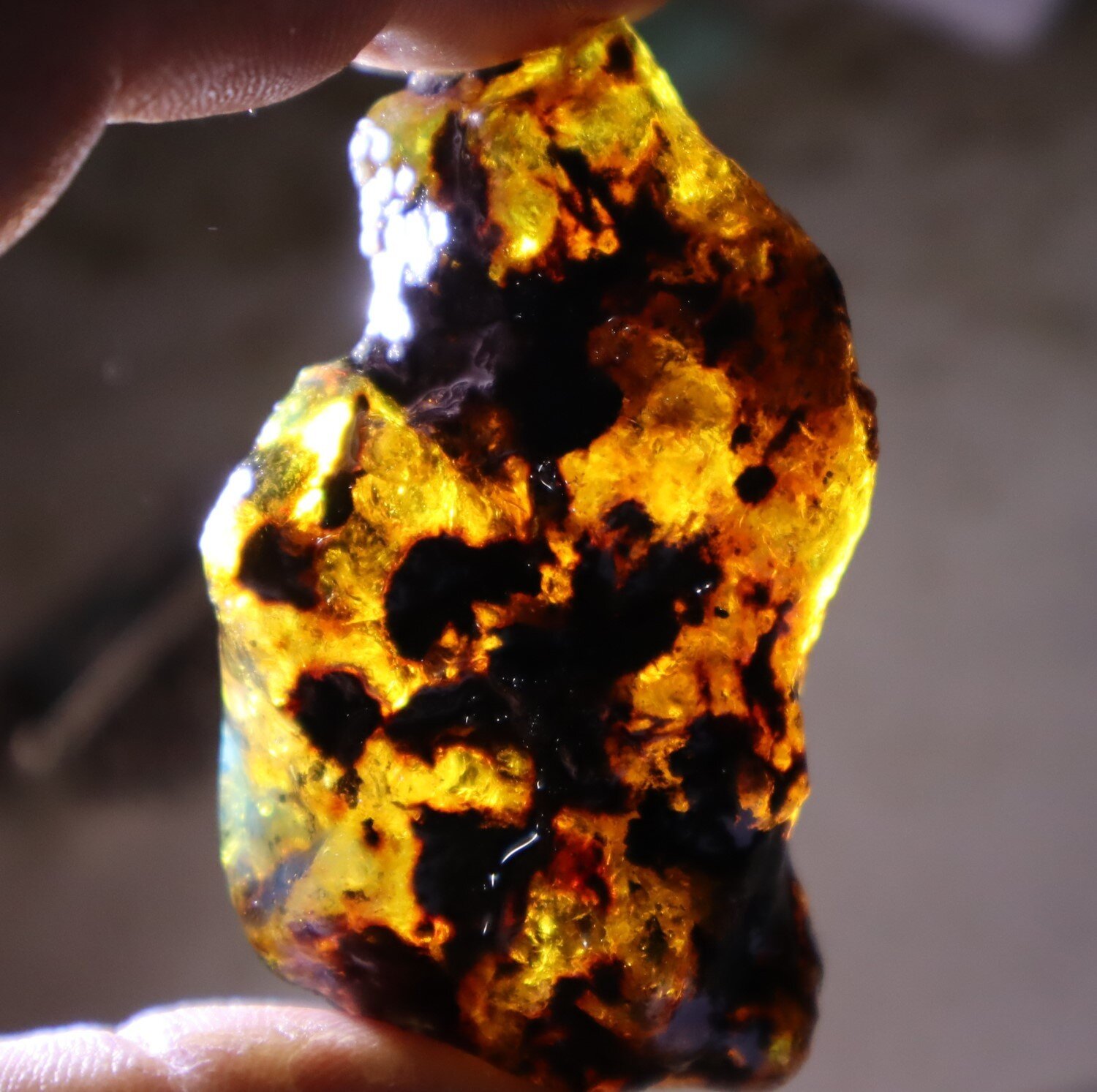 Beautiful Natural Dominican Clear Green Blue Amber Rough Specimen 63mm 31.2g – photo 17