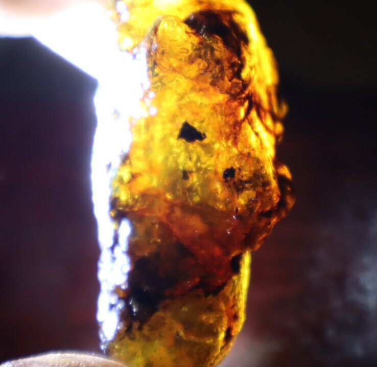 Beautiful Natural Dominican Clear Sky Blue Amber Rough Specimen 47mm 19g – photo 8