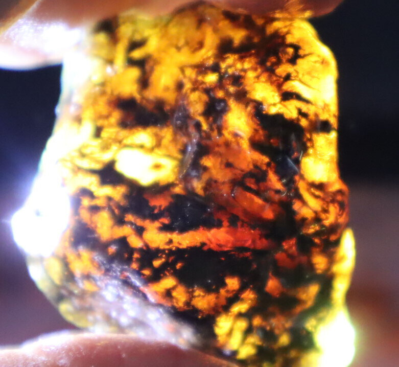 Beautiful Natural Dominican Clear Sky Blue Amber Rough Specimen 41mm 17.1g – photo 12