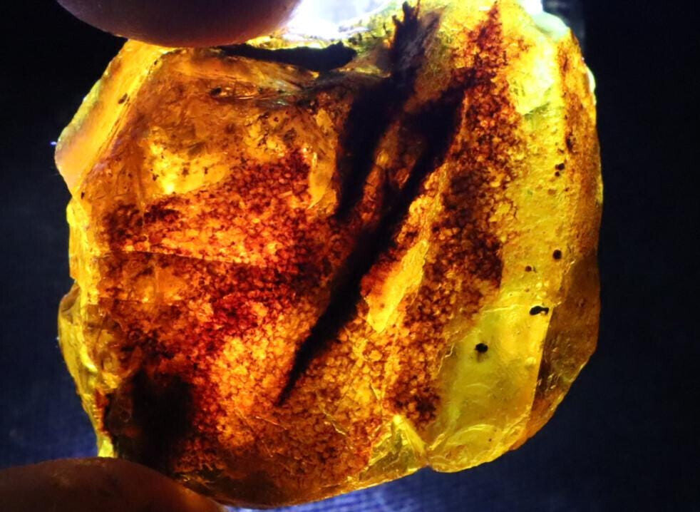 Excellent Natural Dominican Clear Deep Blue Amber Rough Specimen 36mm 11g – photo 10