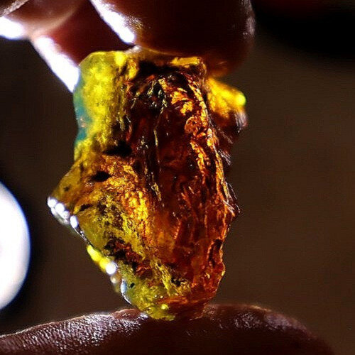 Authentic Beautiful Sky Blue Dominican Amber Rough Specimen Chunk 43mm 10.9g – photo 8