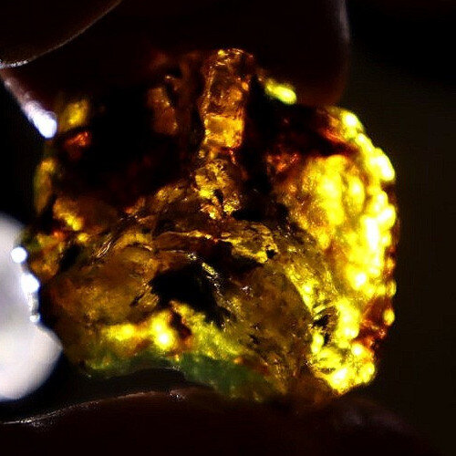 Authentic Beautiful Sky Blue Dominican Amber Rough Specimen Chunk 43mm 10.9g – photo 9