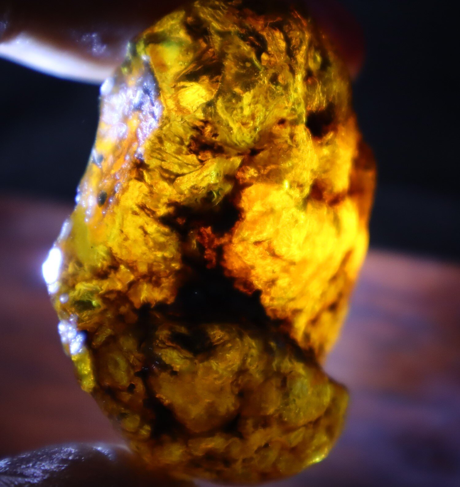 Splendid Natural Dominican Clear Green Blue Amber Rough Specimen 52mm 31.6g – photo 10