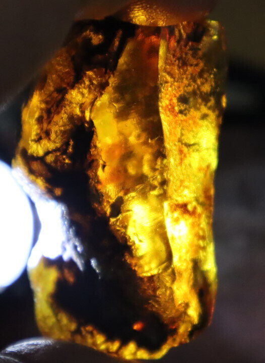 Finest Natural Dominican Crystal Clear Light Blue Amber Rough Specimen 68mm 41g – photo 13