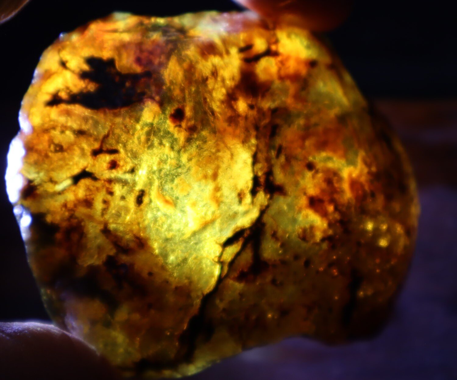 Outstanding Natural Dominican Clear Green Blue Amber Rough Specimen 60mm 36.6g – photo 9