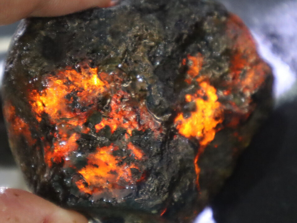 Beautiful Natural Dominican Clear Green Blue Amber Rough Specimen 68mm 64.1g – photo 7