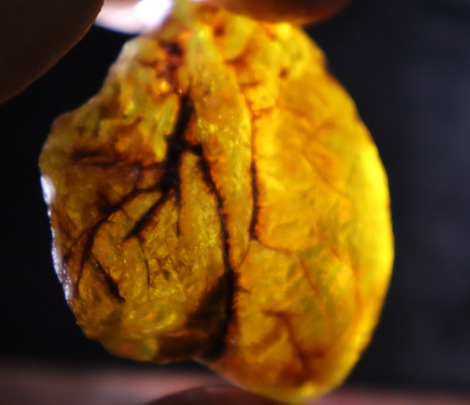 Impressive Natural Dominican Clear Green Blue Amber Rough Specimen 50mm 32.1g – photo 12