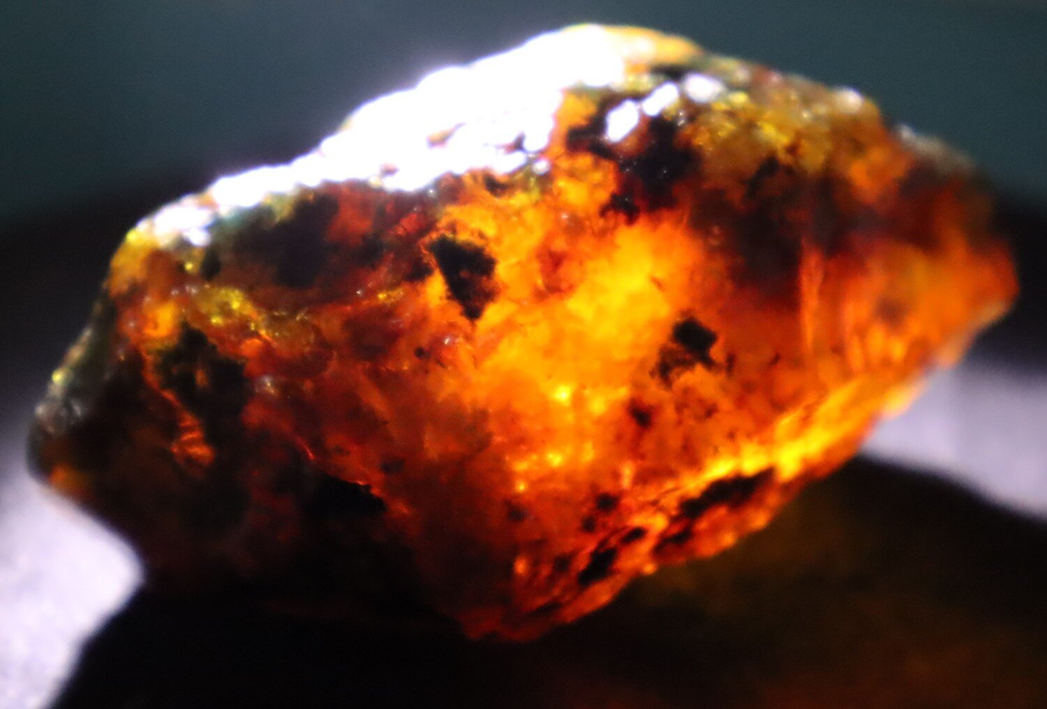 Beautiful Natural Dominican Translucent Green Blue Amber Rough Specimen 62mm 41.7g – photo 9