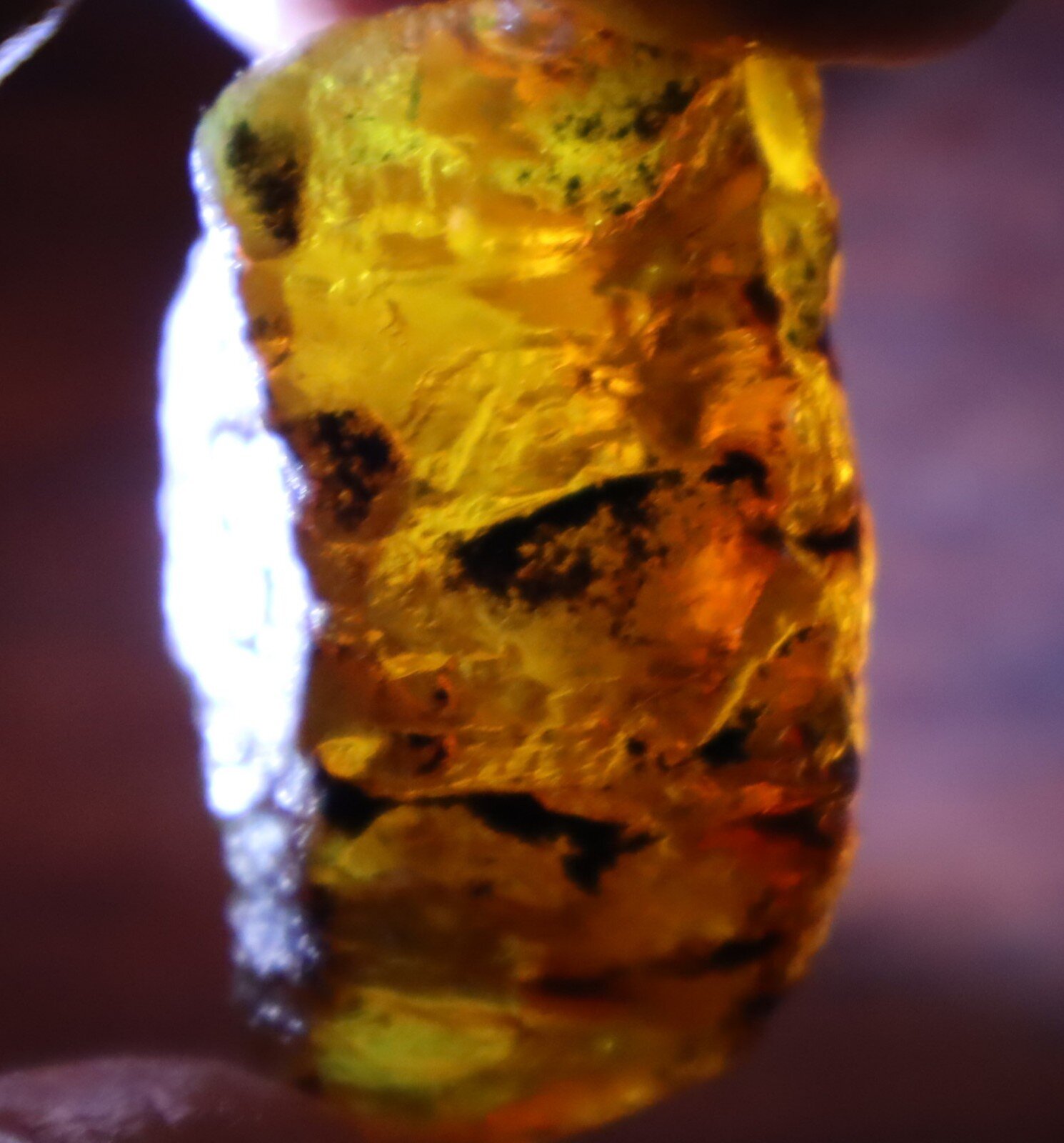 Impressive Natural Dominican Clear Sky Blue Amber Rough Specimen 49mm 26.9g – photo 13