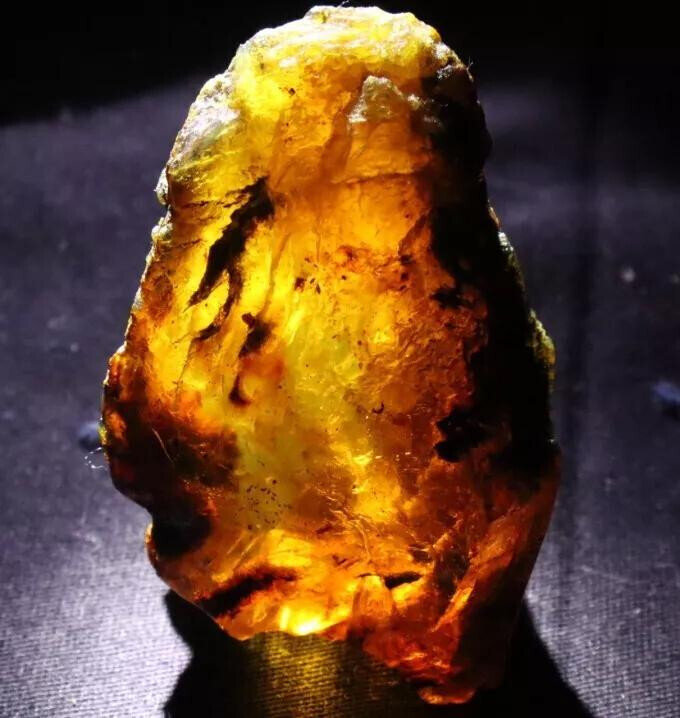 Exquisite Natural Dominican Clear Sky Blue Amber Rough Specimen 60mm 31g – photo 4