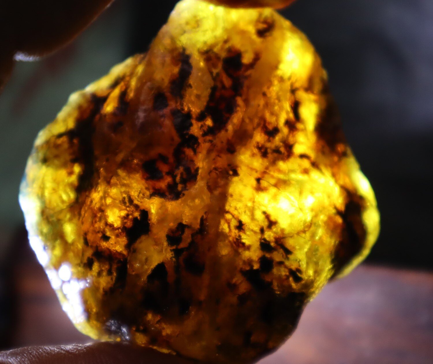 Beautiful Natural Dominican Translucent Yellow Blue Amber Rough Specimen 58mm 34g – photo 3
