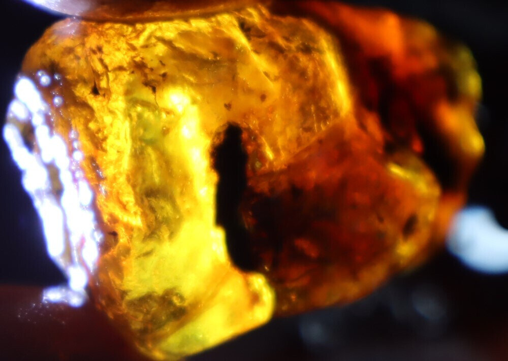 Beautiful Natural Dominican Clear Ocean Blue Amber Rough Specimen 50mm 18.5g – photo 14