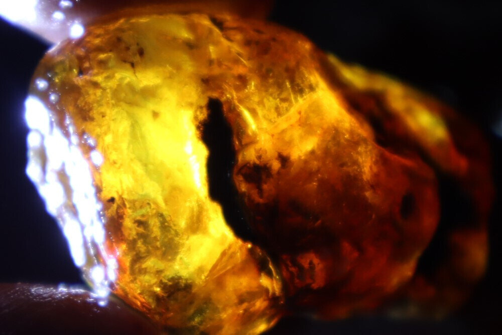 Beautiful Natural Dominican Clear Ocean Blue Amber Rough Specimen 50mm 18.5g – photo 13