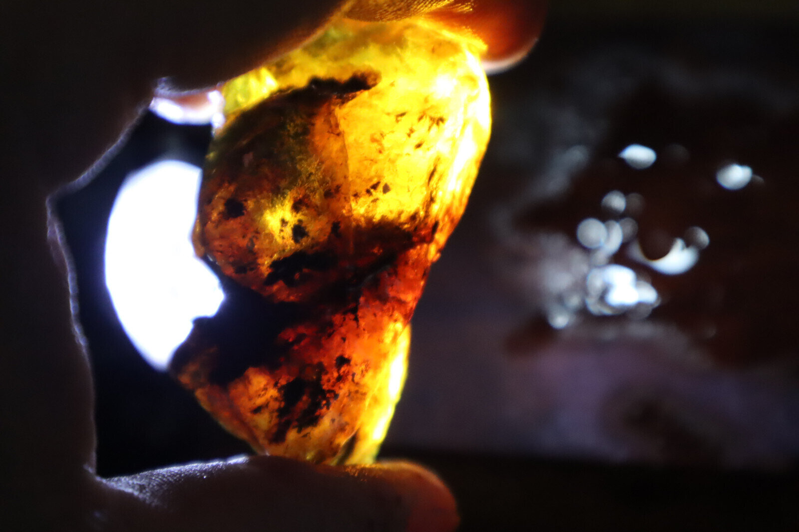 Beautiful Natural Dominican Clear Ocean Blue Amber Rough Specimen 50mm 18.5g – photo 12