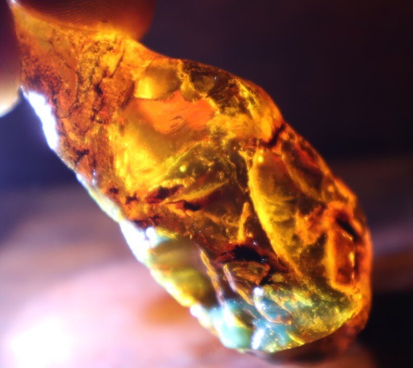 Impressive Natural Dominican Clear Volcanic Blue Amber Rough Specimen 62mm 28.5g – photo 13