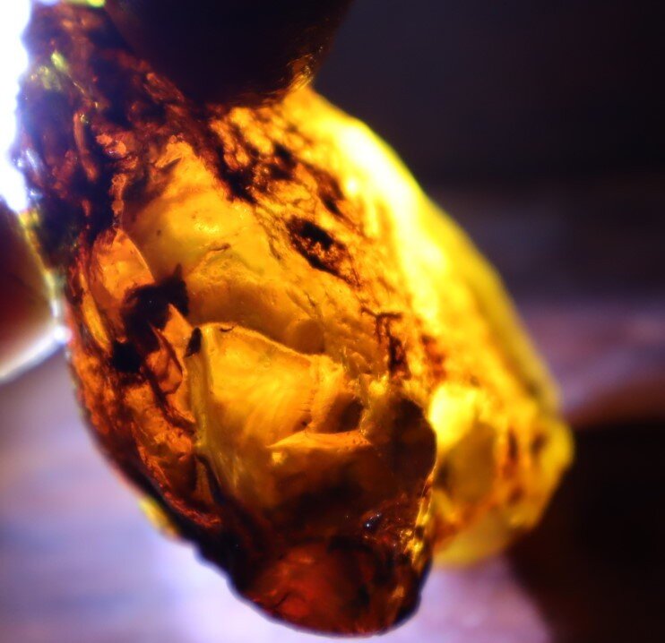 Impressive Natural Dominican Clear Volcanic Blue Amber Rough Specimen 62mm 28.5g – photo 10