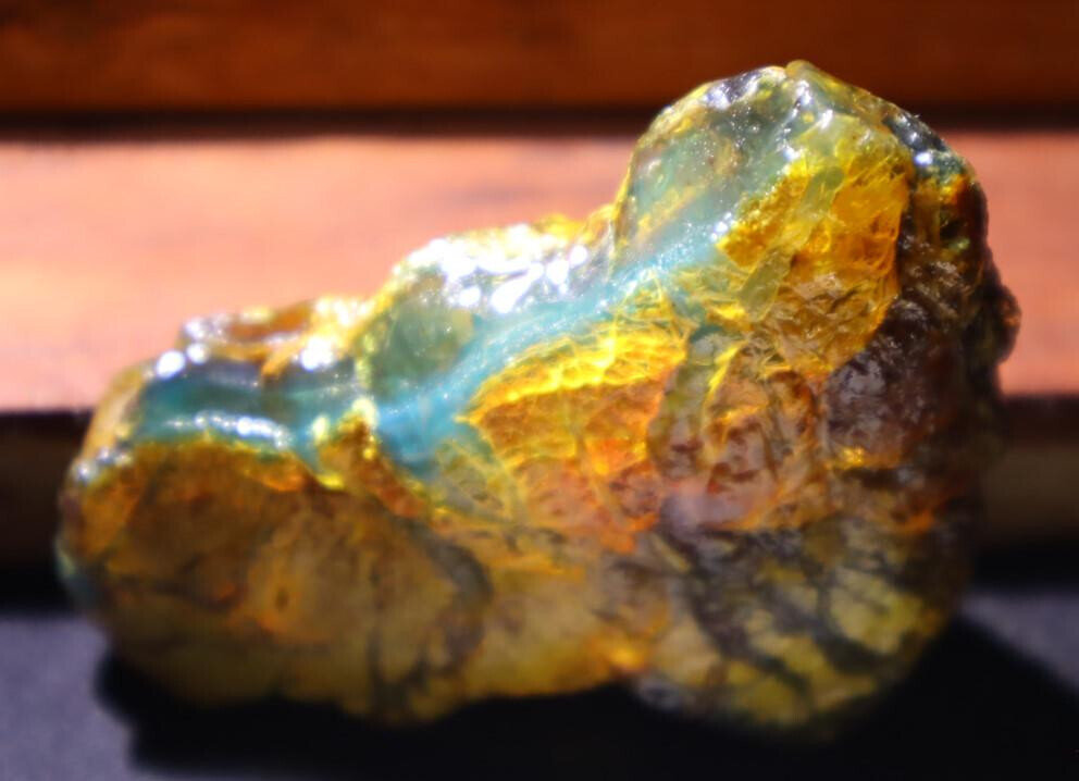 Natural Dominican Clear Green Blue Amber Rough Specimen 65mm 20g – photo 5