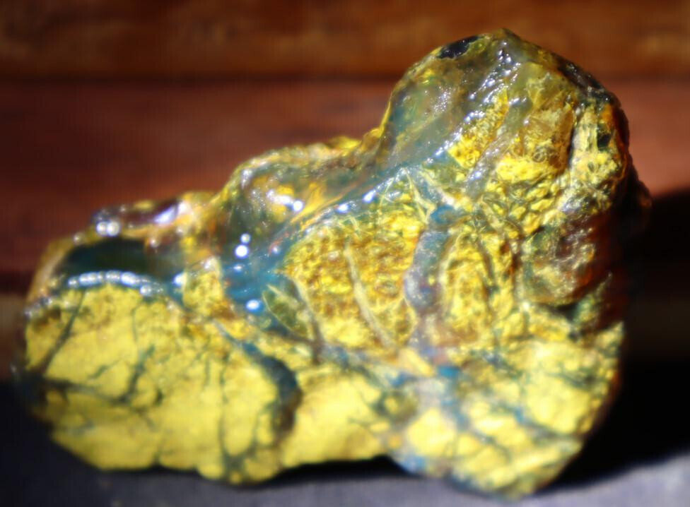 Natural Dominican Clear Green Blue Amber Rough Specimen 65mm 20g – photo 6