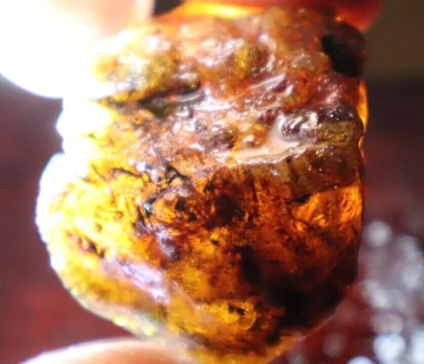 Charming Design Natural Dominican Transl Yellow Blue Amber Rough Specimen 37g – photo 8