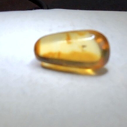 Pure Natural Clear Yellow Mosquito Inclusion In Dominican Amber Fossils 20mm – photo 2