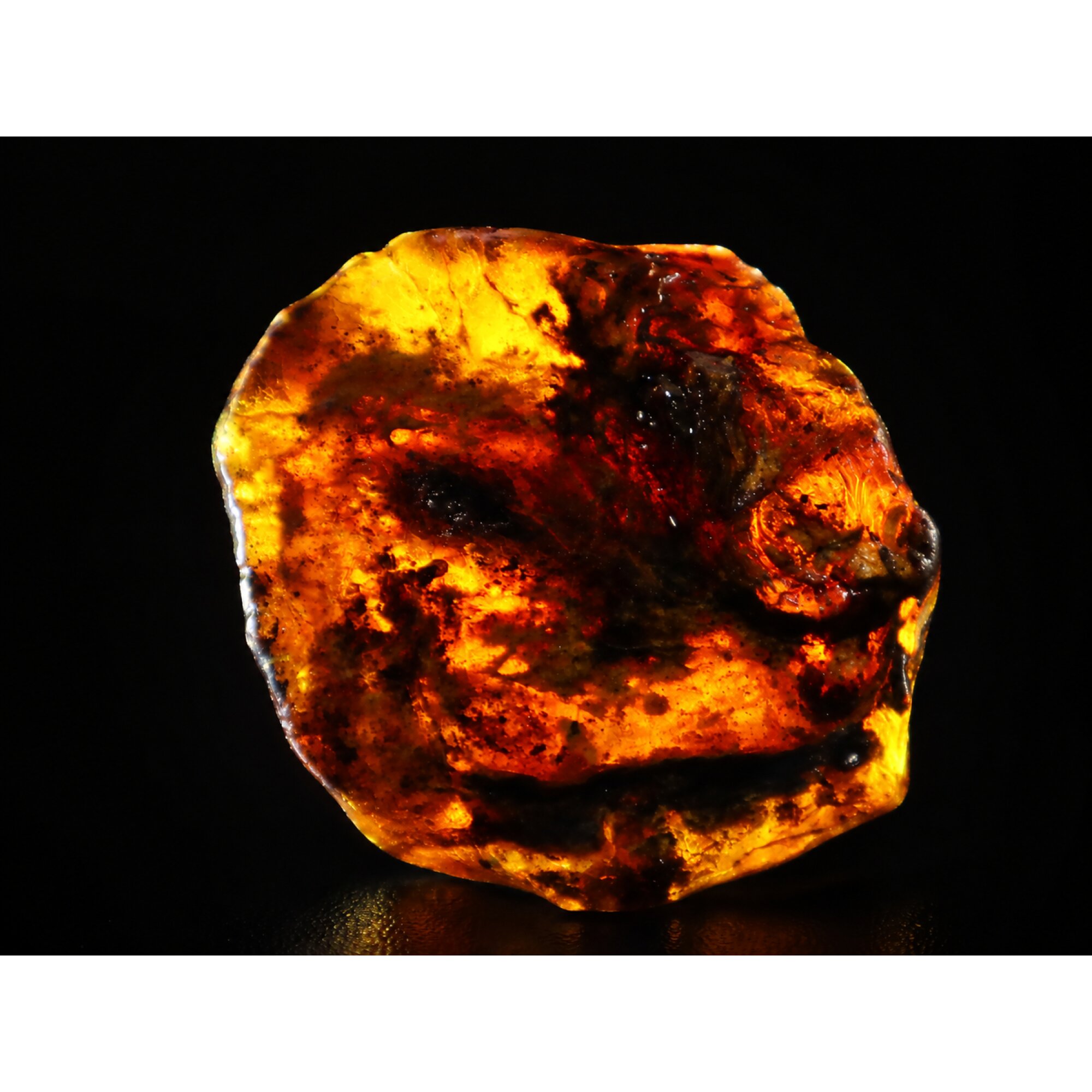Translucent deep blue Natural Dominican Amber rough Specimen 56 mm – photo 3