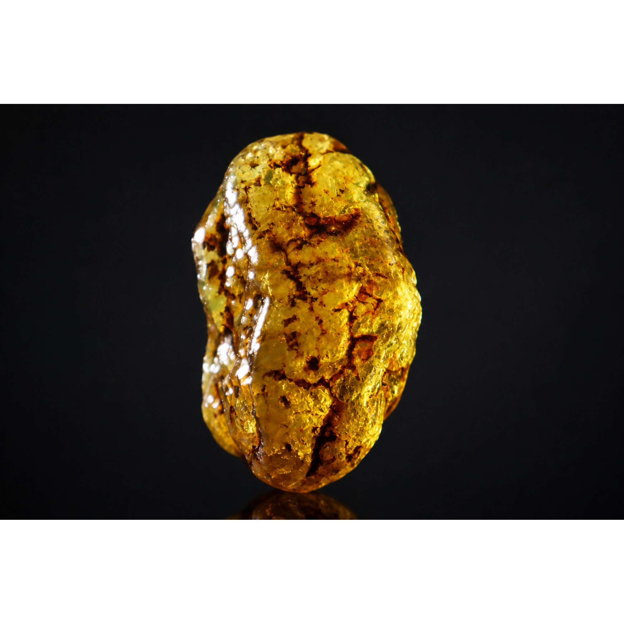 Clear orange yellow Natural Dominican Amber rough Specimen 47 mm – photo 4