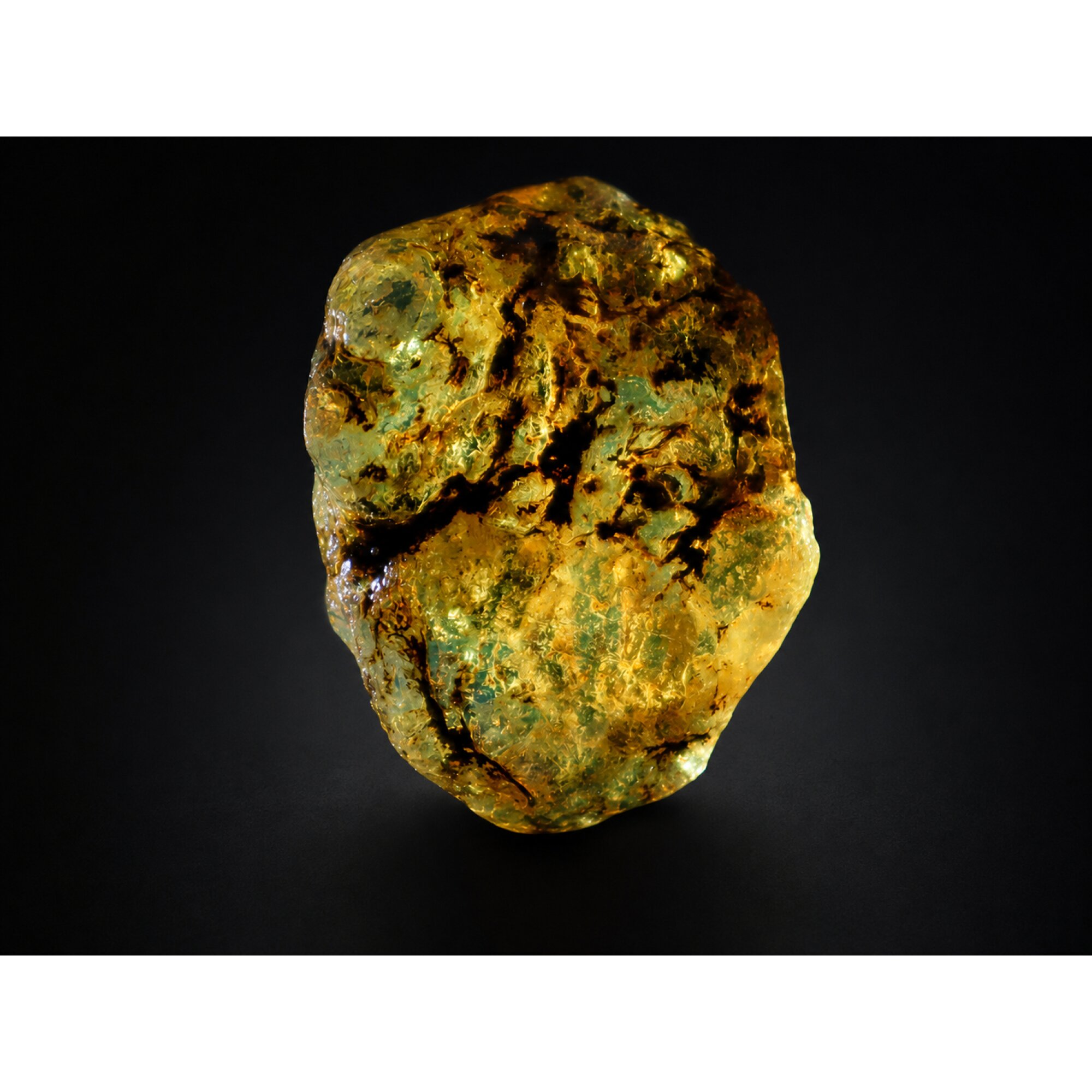 Clear deep blue Natural Dominican Amber rough Specimen 44 mm – photo 10