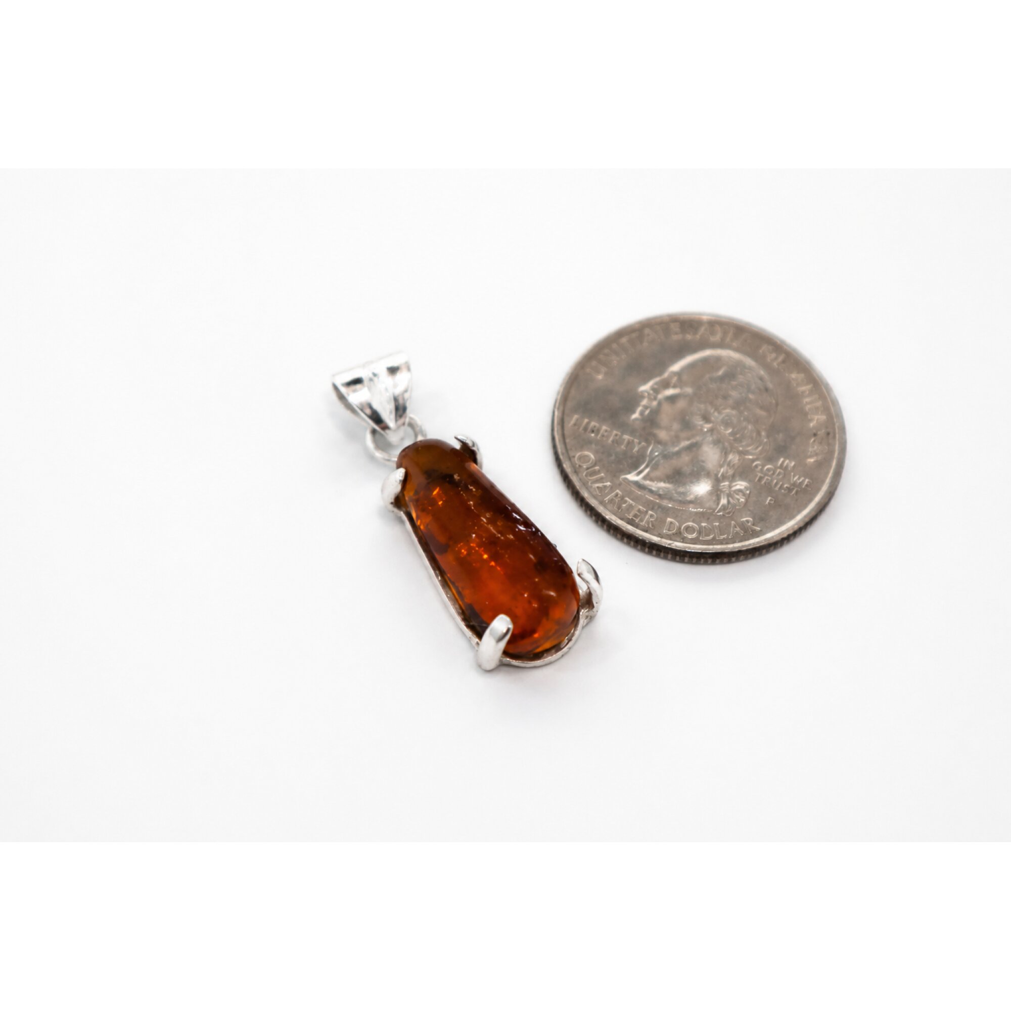 beetle Inclusion Clear yellow red Natural Dominican Inclusion Specimen 20 mm – photo 4