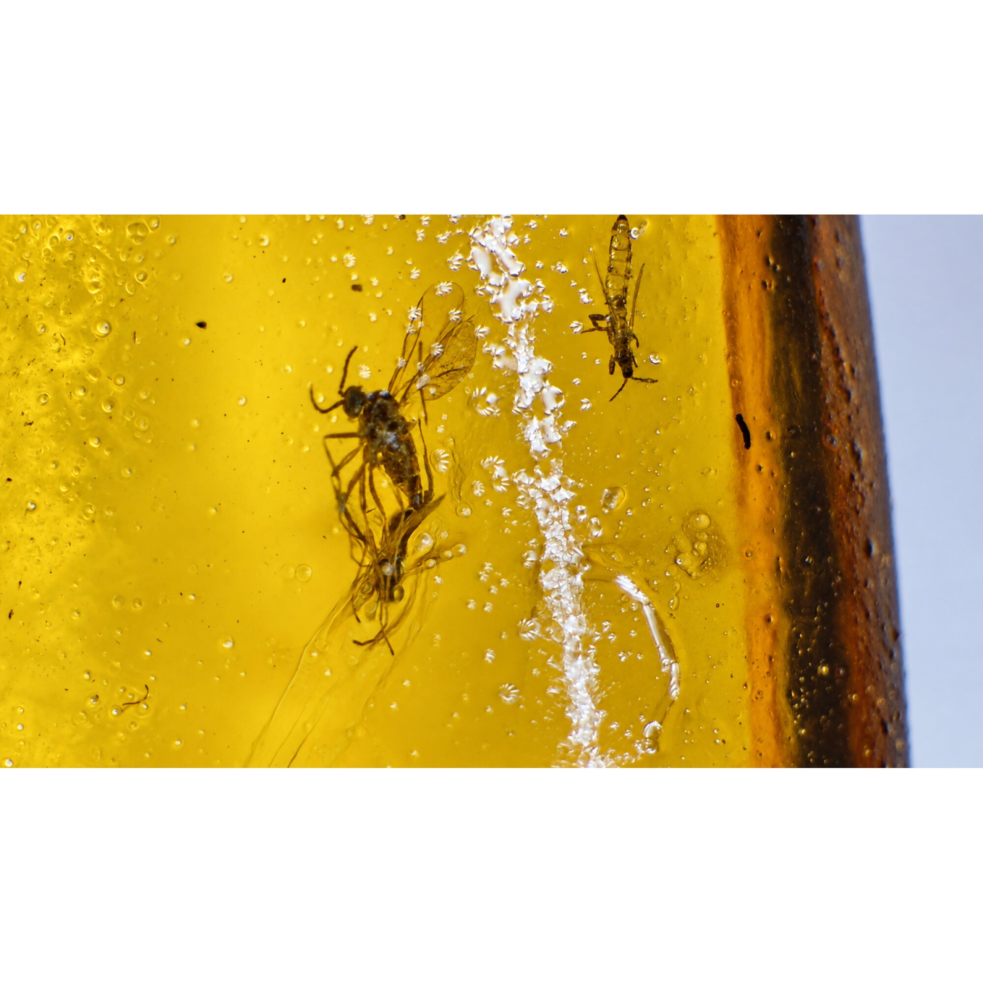 Real yellow orange Dominican amber spider and wasps stone 28mm – photo 2