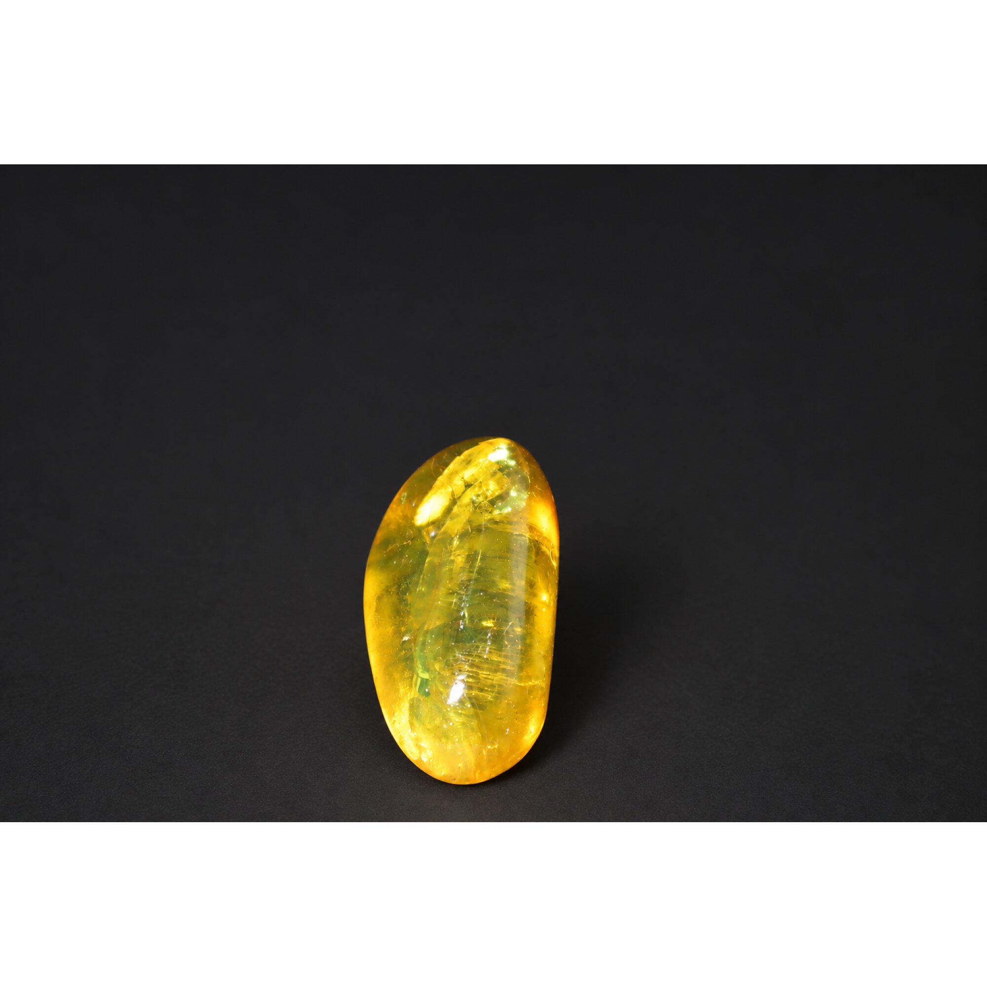 Real yellow Dominican amber Beetle stone 33mm – photo 6
