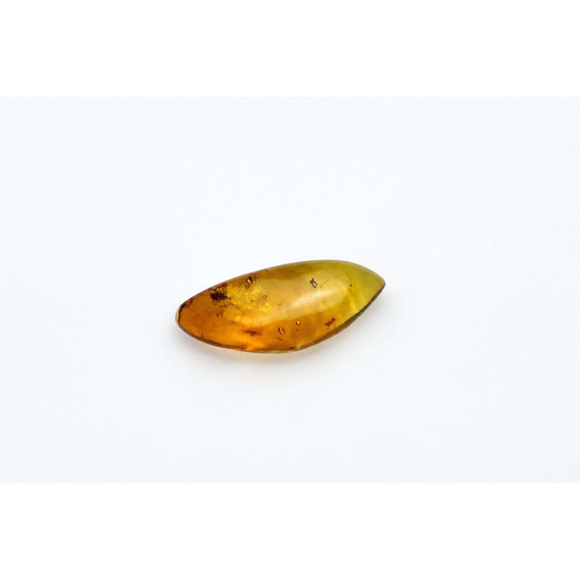 Real yellow Dominican amber true bug stone 25mm – photo 8