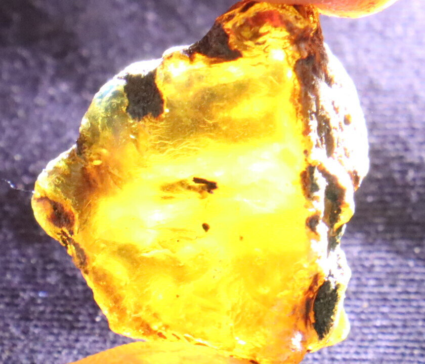 Beautiful Natural Dominican Clear Light Blue Amber Rough Specimen 24mm 6g – photo 9