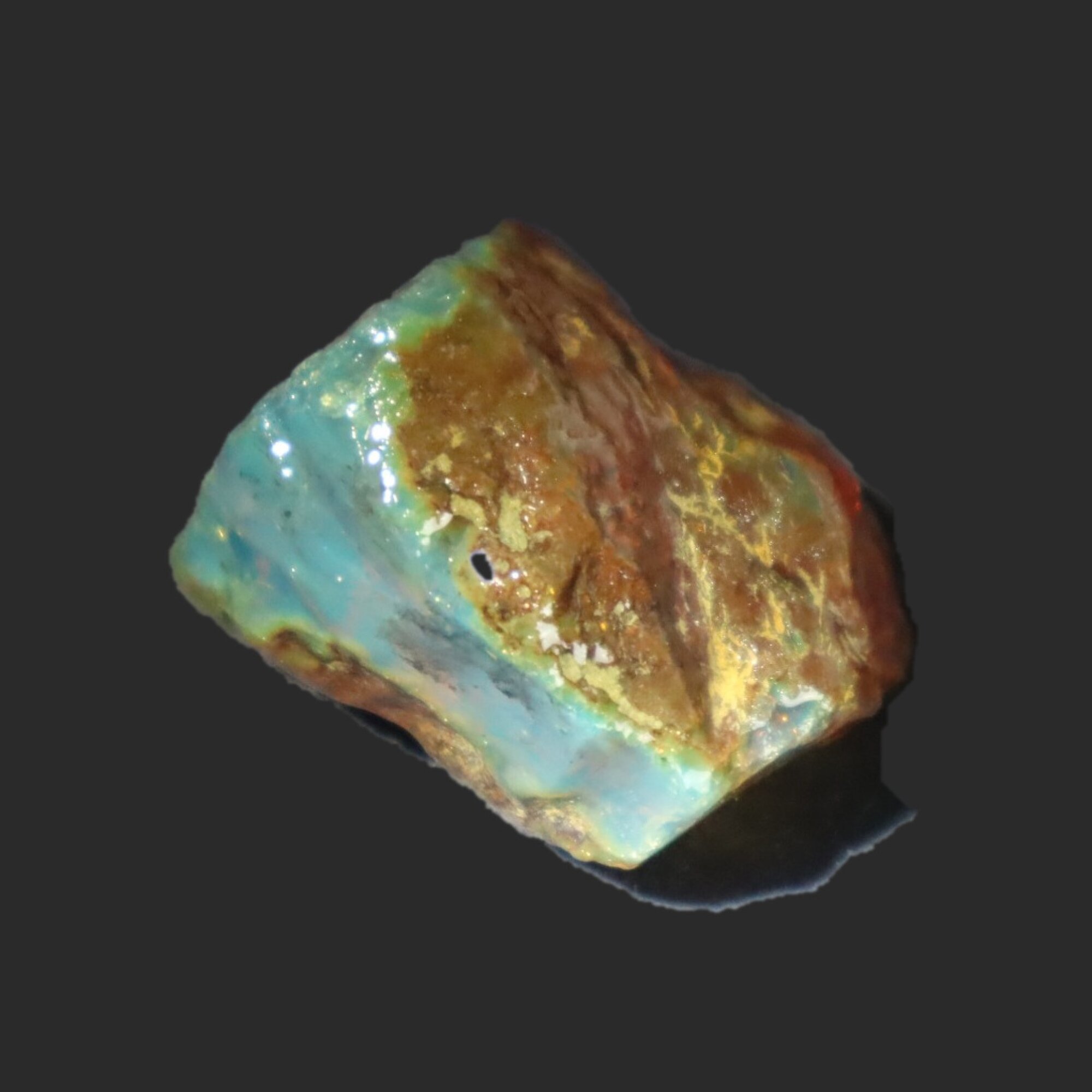 Naturally formed cognac blue rough specimen Dominican amber 31mm – photo 4