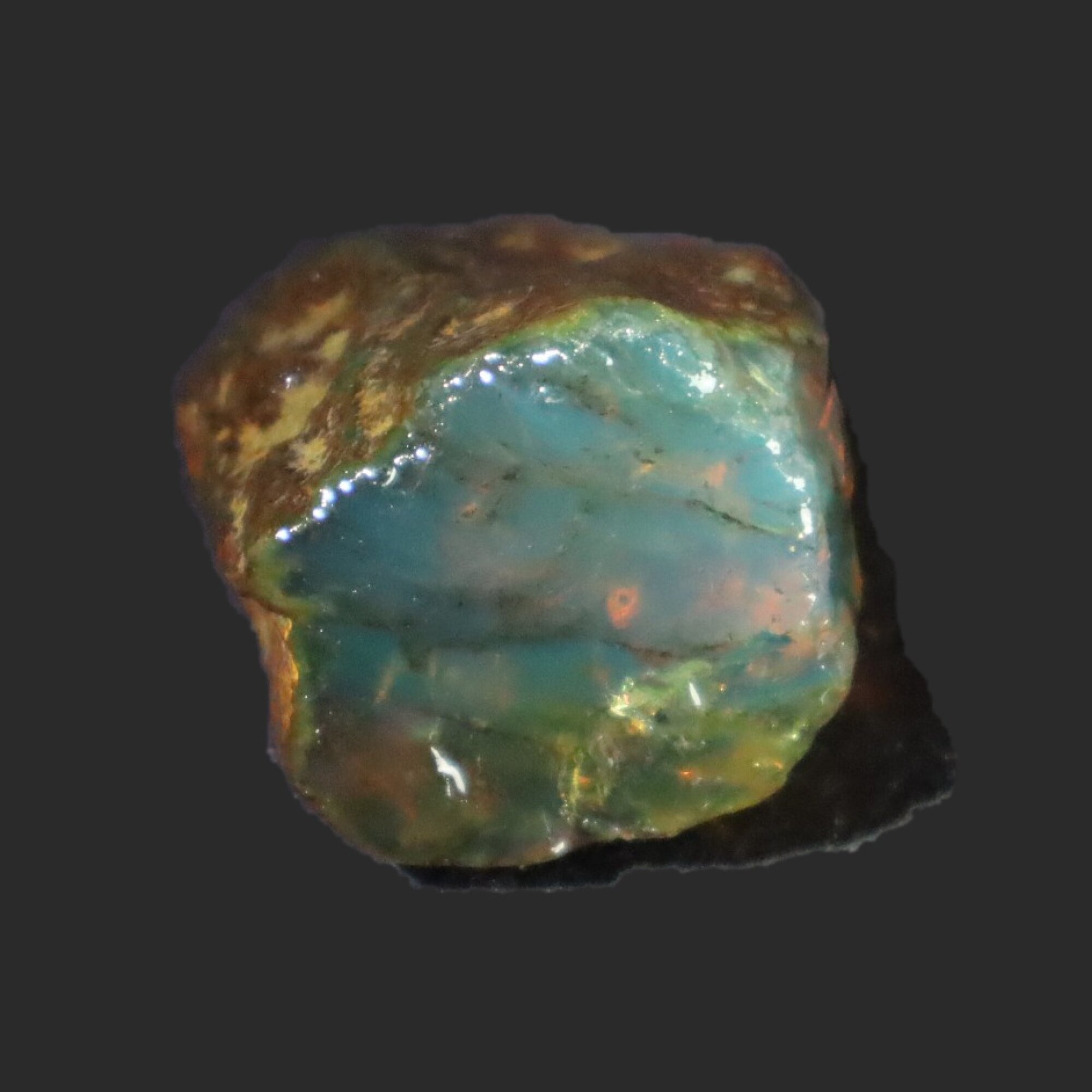 Naturally formed cognac blue rough specimen Dominican amber 31mm – photo 17