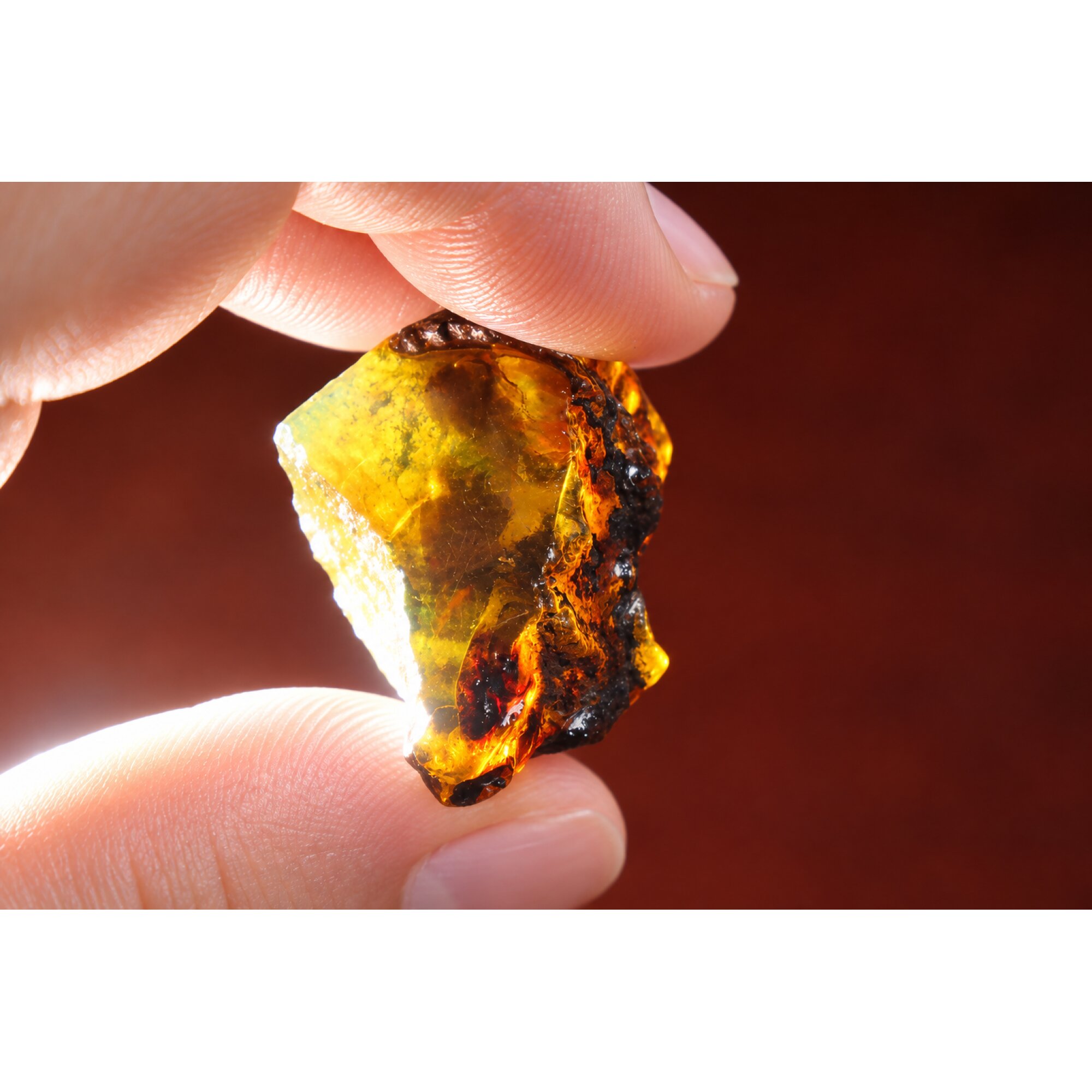 Authentic sky blue rough specimen Dominican amber 38mm – photo 7