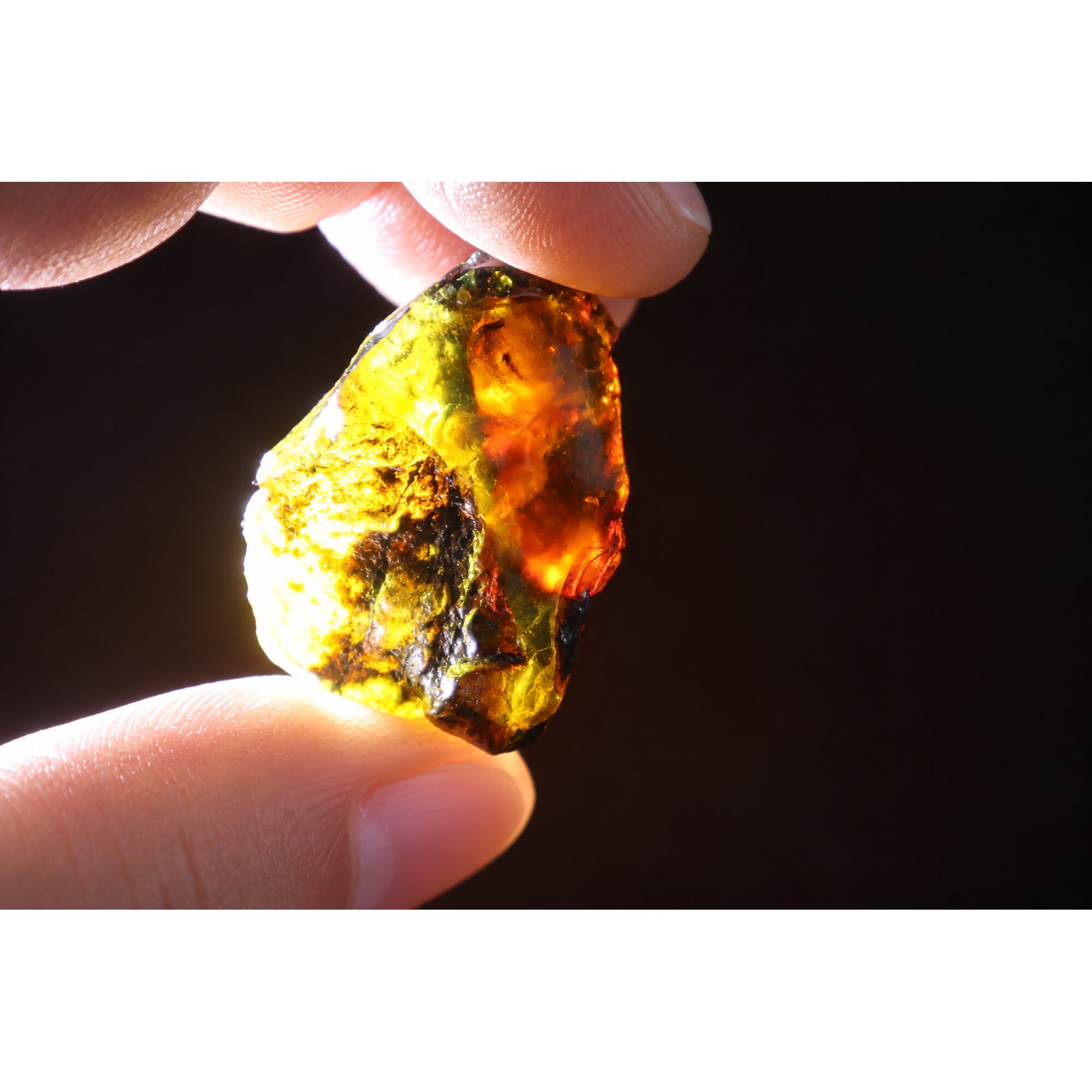 Authentic sky blue rough specimen Dominican amber 38mm – photo 12