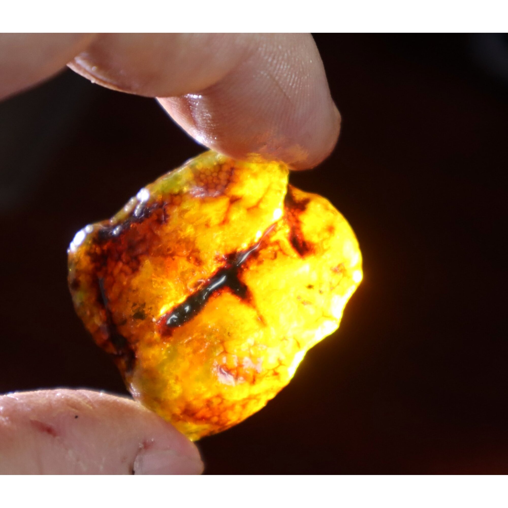 Authentic deep blue rough specimen Dominican amber 32mm – photo 5