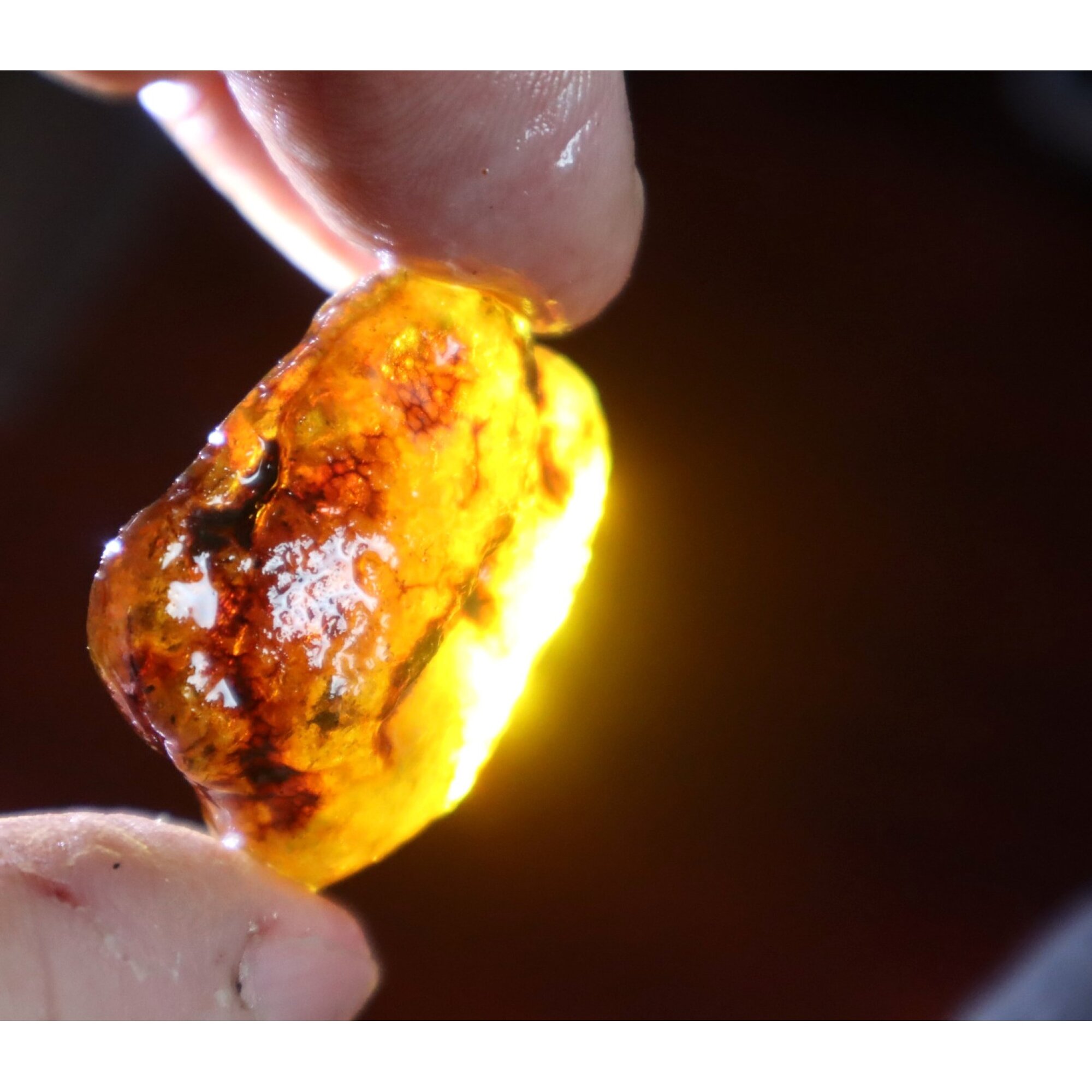 Authentic deep blue rough specimen Dominican amber 32mm – photo 6
