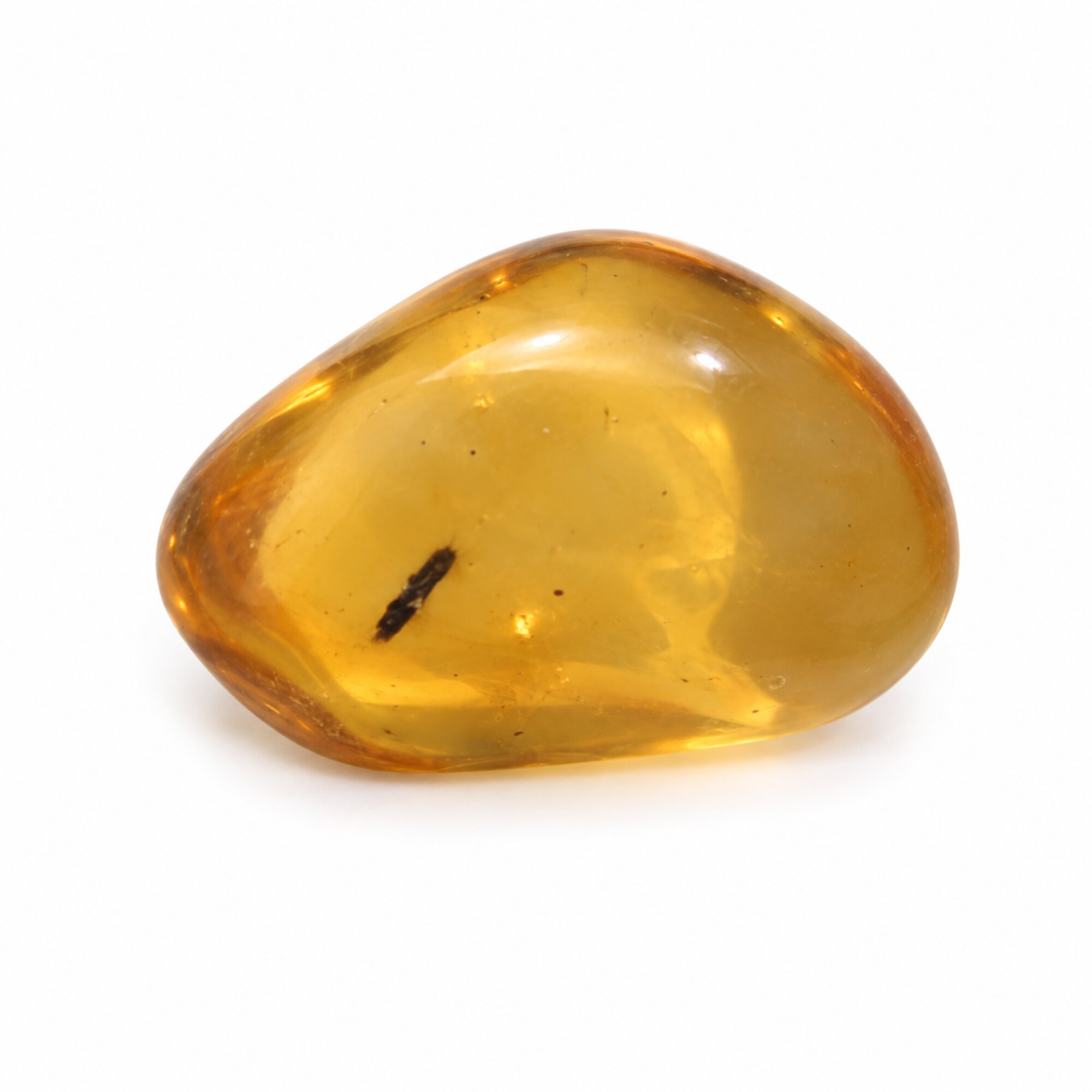 Authentic green yellow polished Dominican amber beetle insect – photo 2