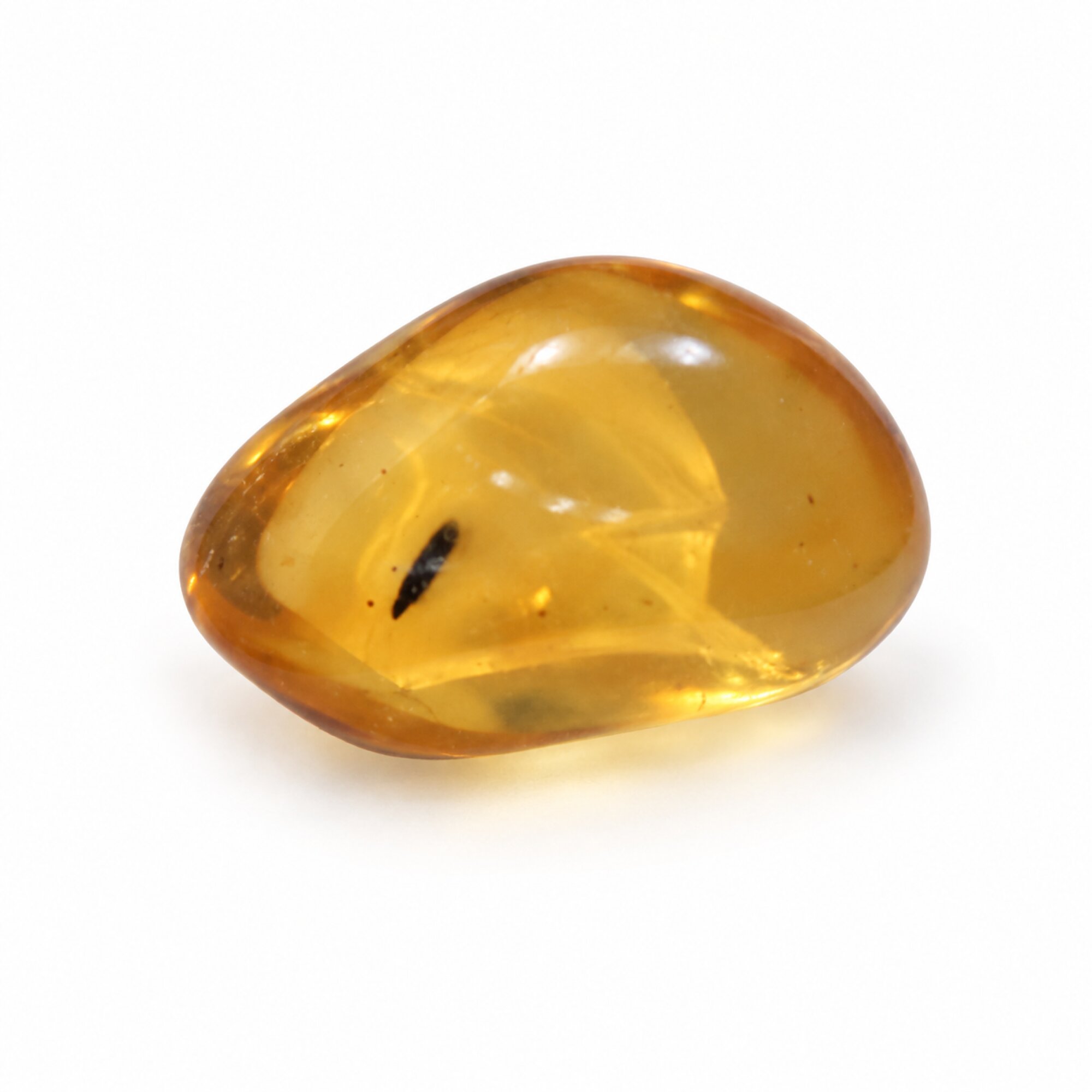 Authentic green yellow polished Dominican amber beetle insect – photo 3