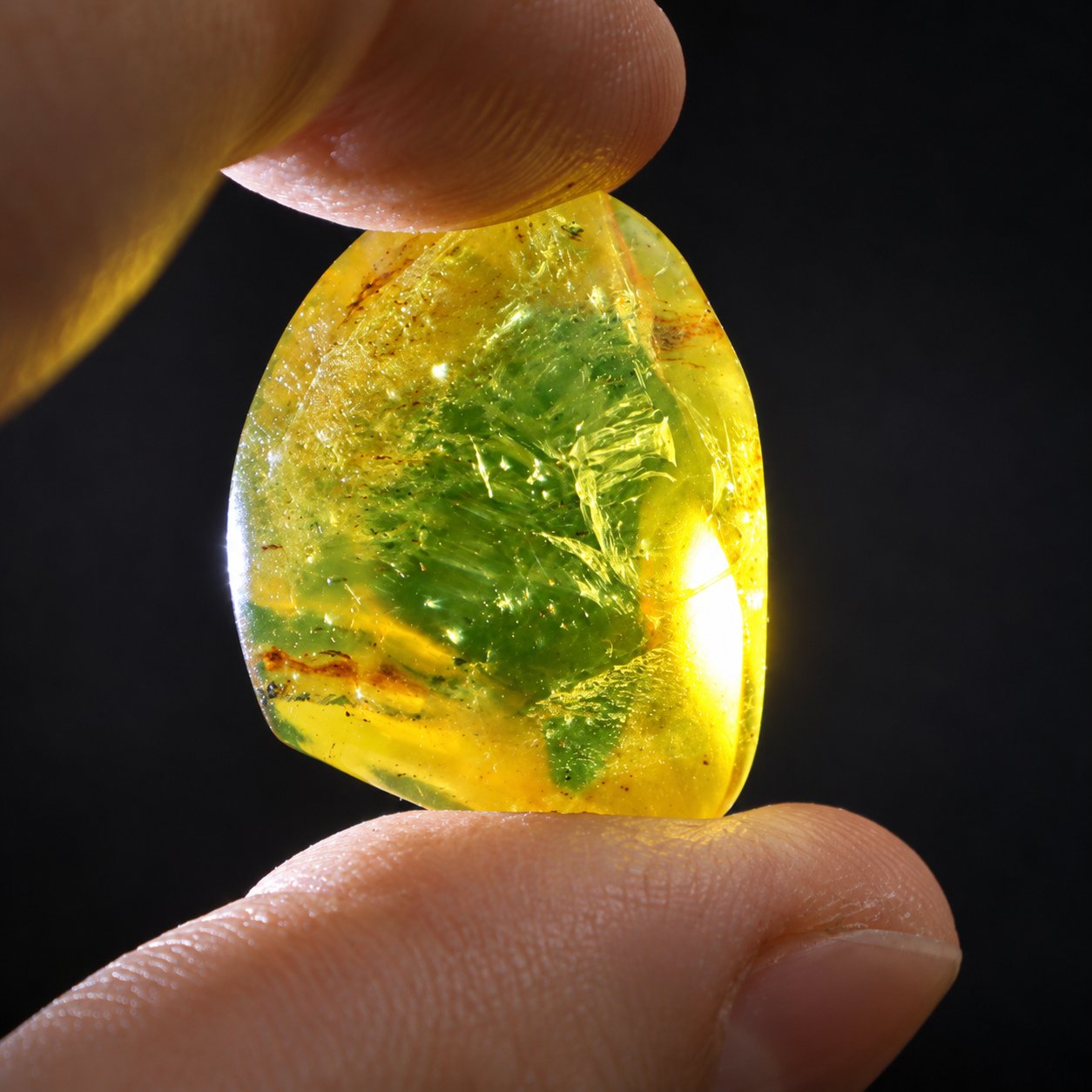 Authentic yellow green polished Dominican amber 29mm – photo 10
