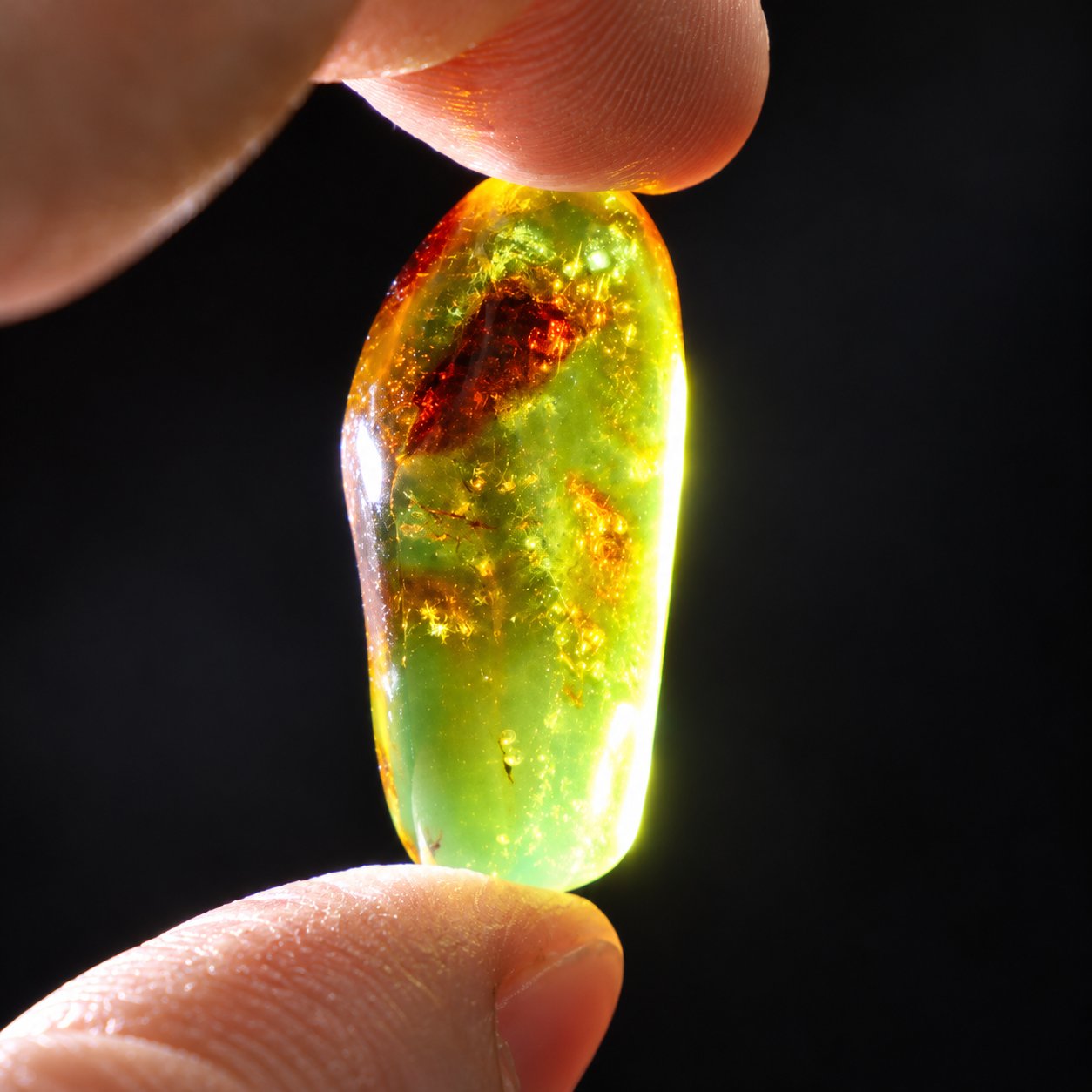 Real dark green polished Dominican amber 35mm – photo 8