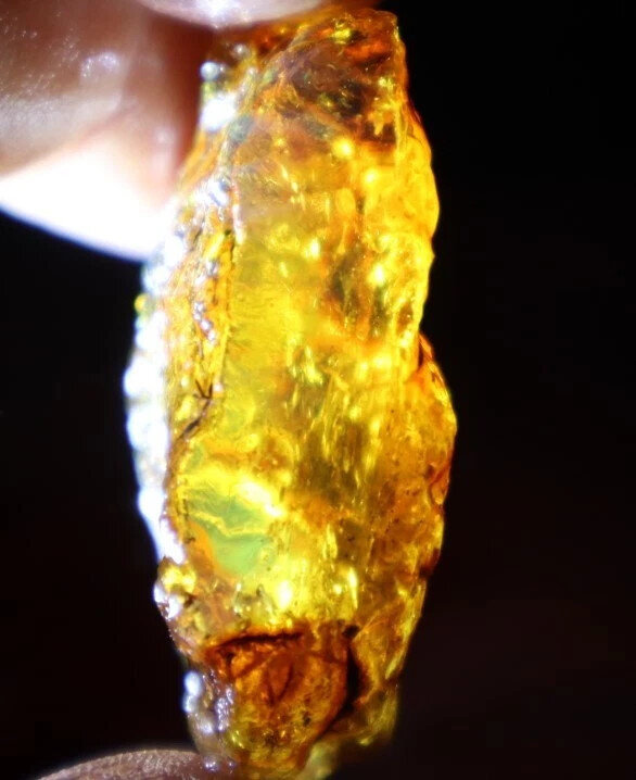Exquisite Natural Dominican Crystal Clear Yellow Blue Amber Rough Specimen 42mm – photo 12